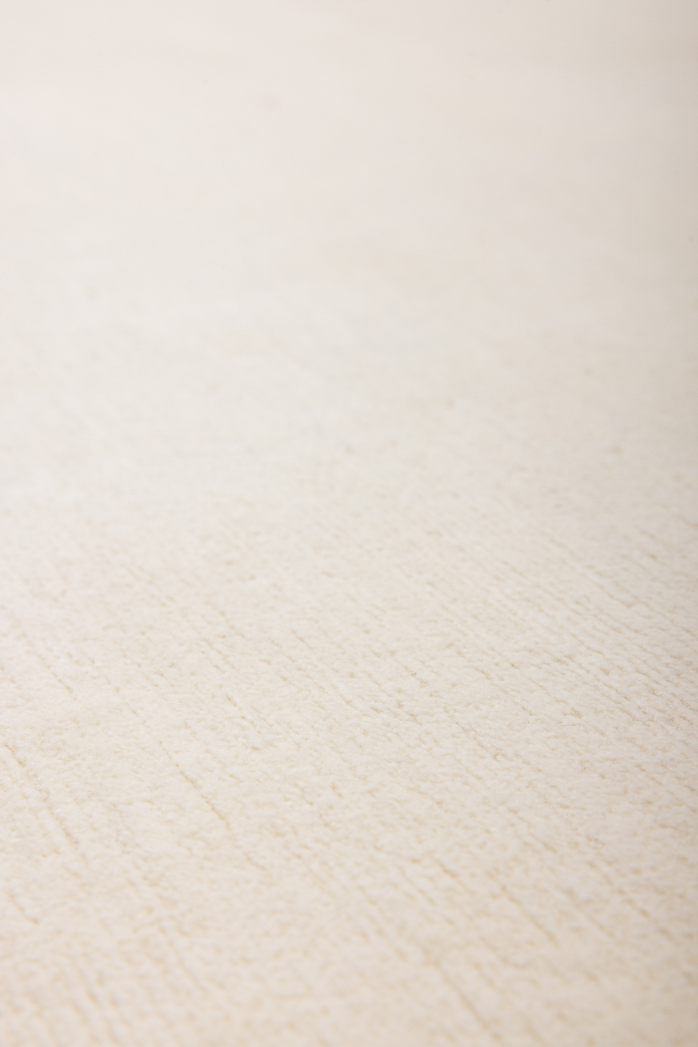 Ковёр Кашемир BLANC DE BLANCS Индия ART de VIVRE PLAIN-IVORY